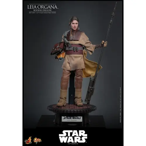 HOTTOYS MMS854 Star Wars Episode VI figurine 1/6 Leia Organa (Boushh Disguise) 27 cm Aanbieding