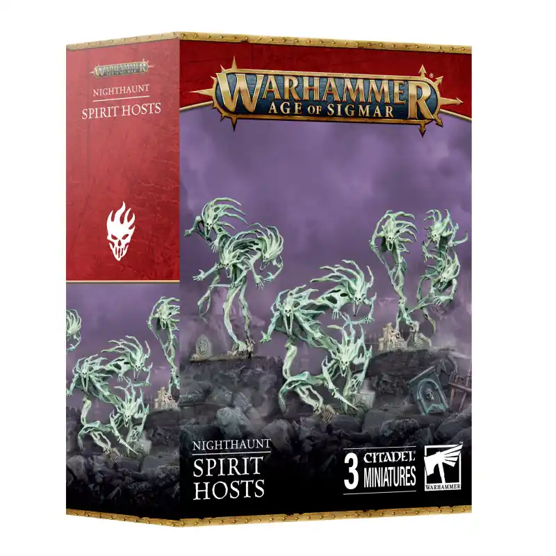 Flitsaanbieding Spirit Hosts