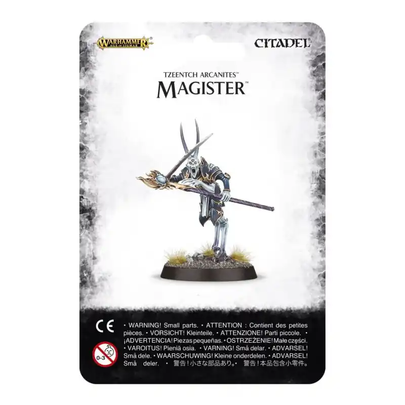 Aanbieding Magister